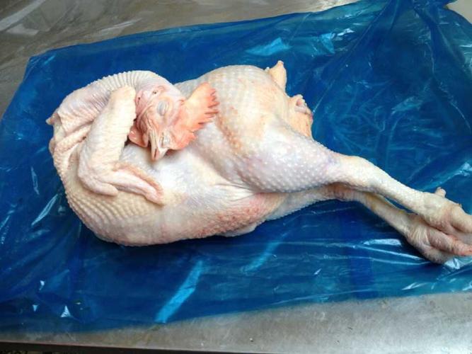 大种鸡白条冷冻鸡白条厂家直销冷冻大鸡白条肉禽批发鸡产品
